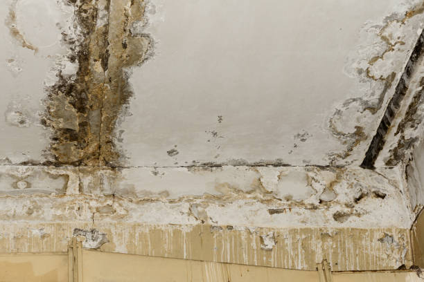 Best 24-hour water damage restoration  in Renova, MS